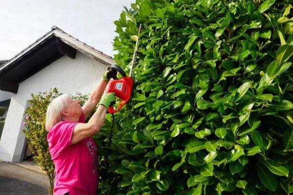 Leeds Homeowners Are Ditching Hedges for Smart Fencing
