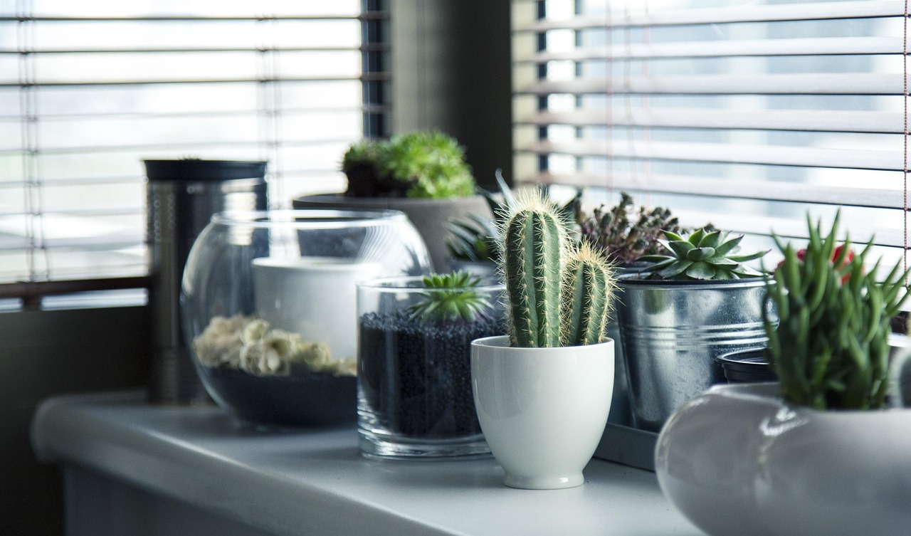 Pots, plants, cactus — Advantages of Built-In Kitchen Cabinets