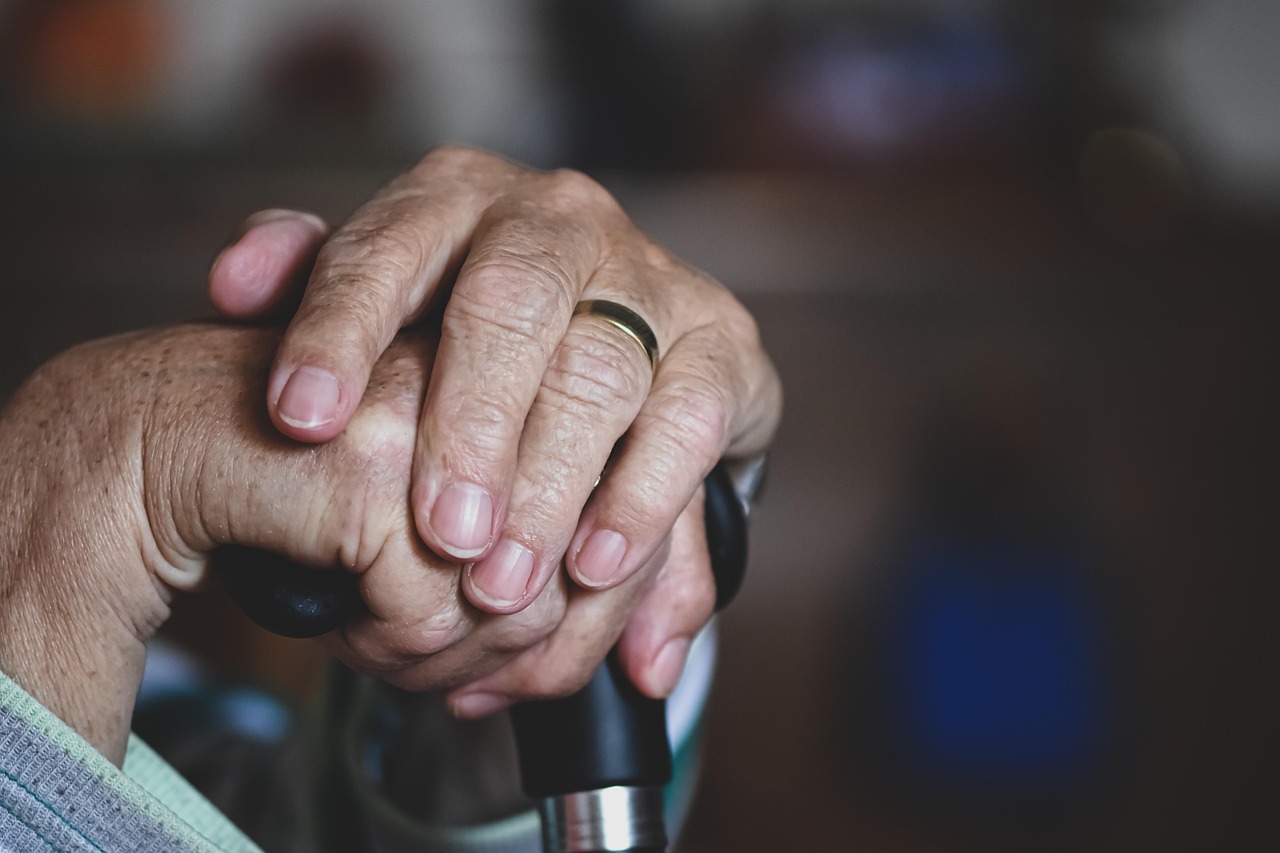 Care for the elderly, old people's home, retirement home — Significance of a Plumber Mosman