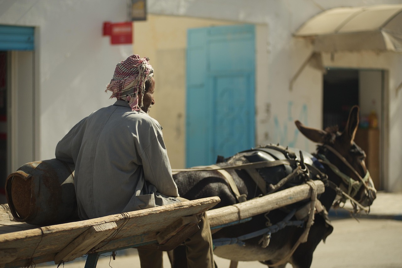 Tunisia, man, team — What trends exist to remodel my bathroom?