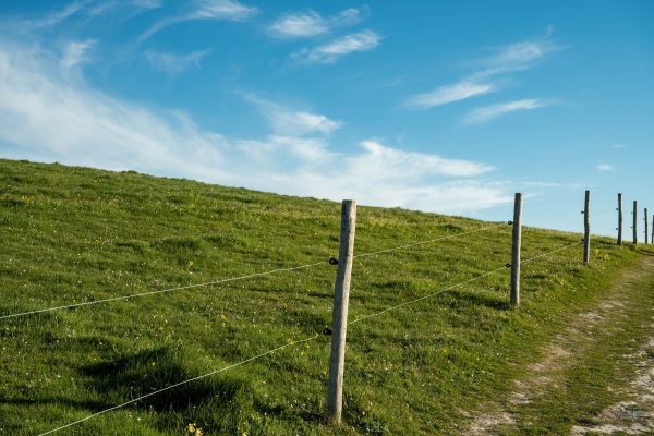 The Problem With Building a Perfectly Level Fence on a Garden That Isn’t